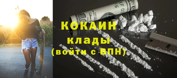 молекула духа Вязьма