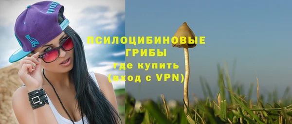 кокс Вяземский