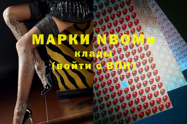 молекула духа Вязьма