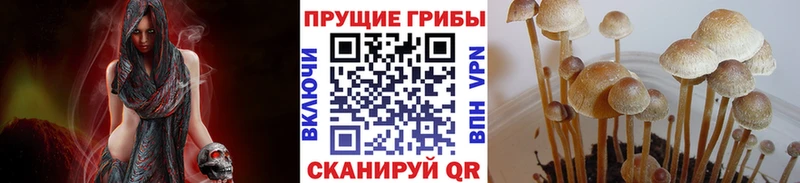 Галлюциногенные грибы мицелий Зеленогорск