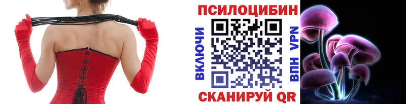 Псилоцибиновые грибы мухоморы  где купить   Зеленогорск 