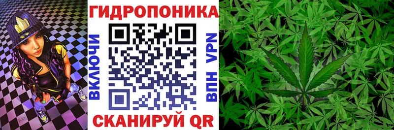 Марихуана White Widow  Зеленогорск 